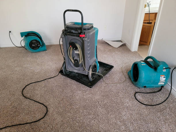 Best Commercial water damage restoration  in Walbridge, OH