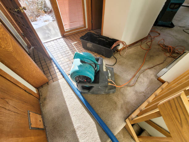 Best Carpet water damage restoration  in Walbridge, OH