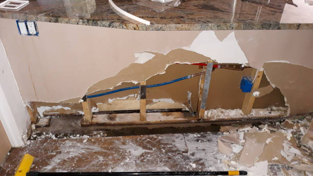 Best Flood damage cleanup  in Walbridge, OH