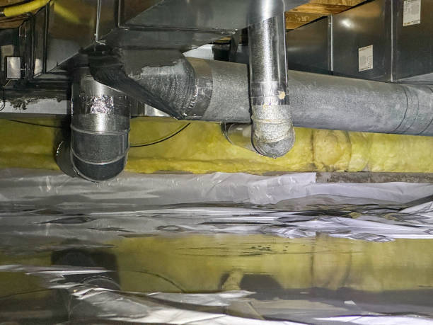 Best Ceiling water damage repair  in Walbridge, OH